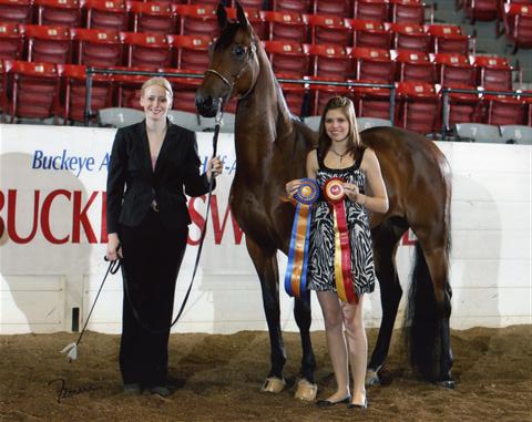 Double Daare Reserve Champion Mare